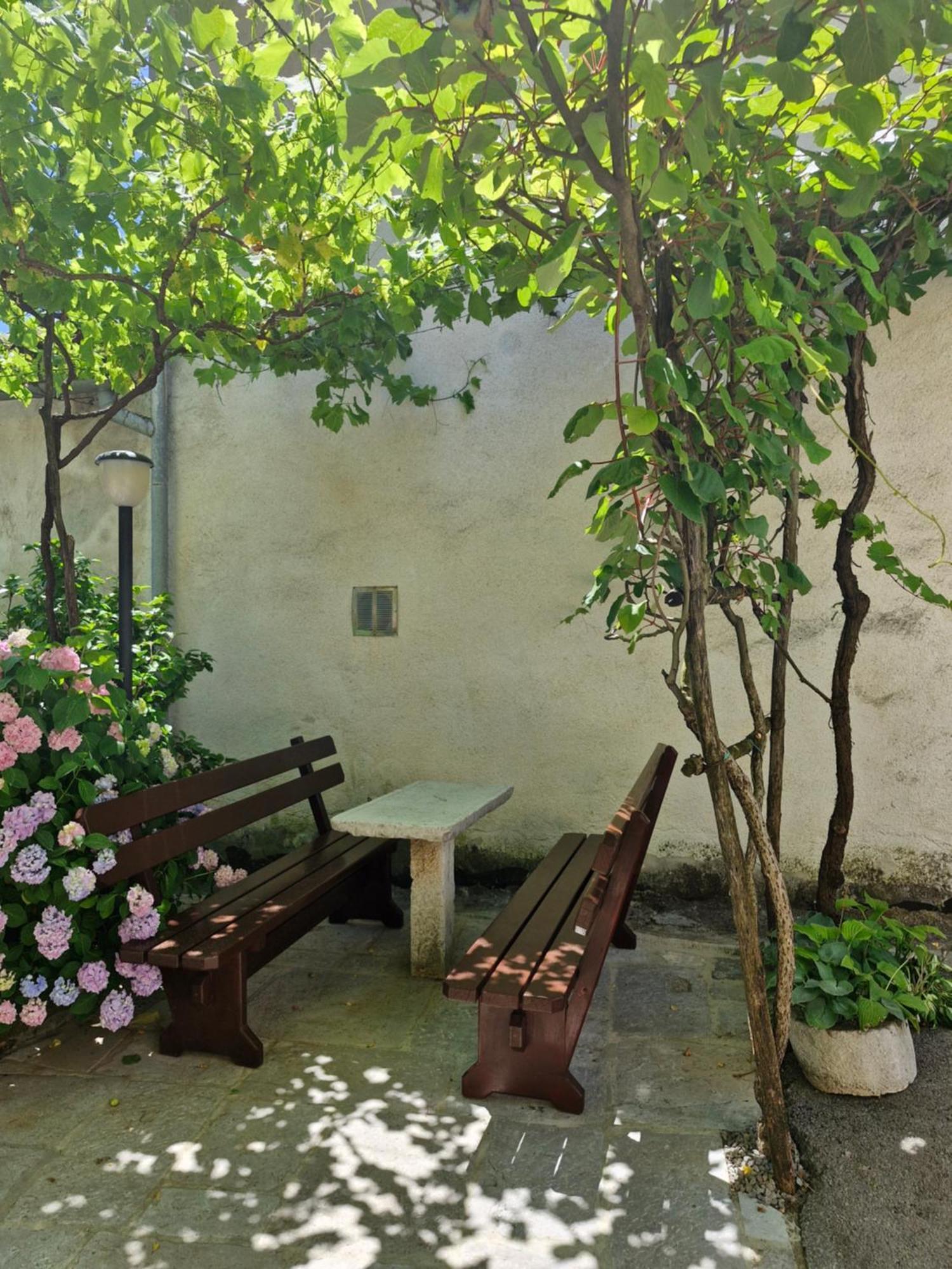 Apartma Jezevi Sezana Exterior photo